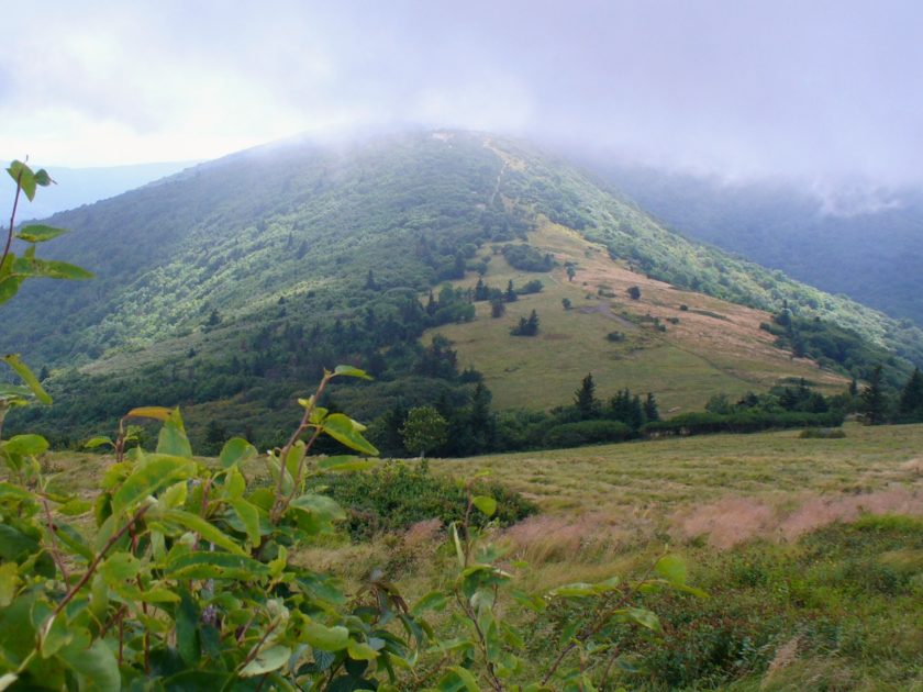 Hiking the Pandemic Trail